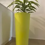 Caesar *